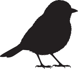 Indian Yellow Tit Silhouette