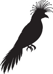 Lesser Bird Silhouette