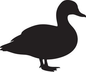 Shelduck Silhouette
