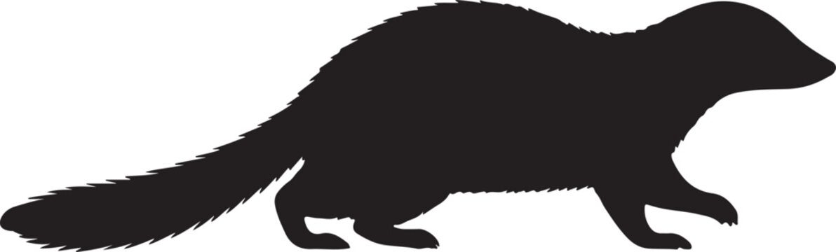 Tree Shrew Silhouette