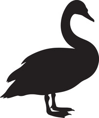 Trumpeter Swan Silhouette