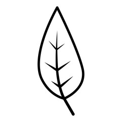 leaf vector icon