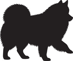 Obraz premium American Eskimo Dog Vector Silhouette