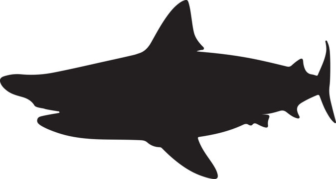 Basking Shark Vector Silhouette