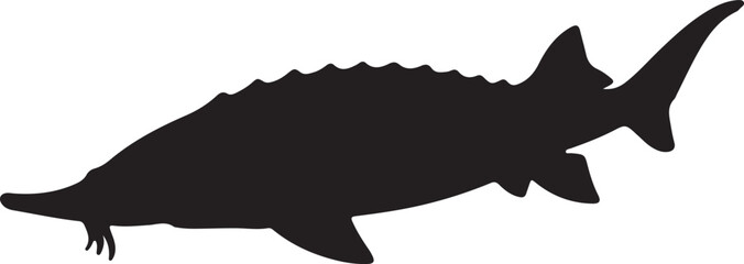Beluga Sturgeon Vector Silhouette