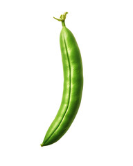 Single vibrant green bean against a stark black backdrop exhibiting freshness