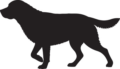 Chesapeake Bay Retriever Vector Silhouette