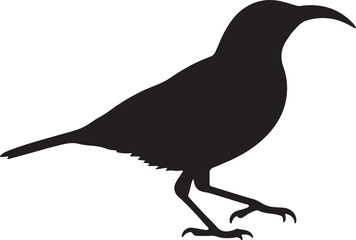 Eastern Spinebill Vector Silhouette