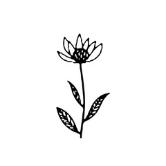 Elegant minimalist line drawing of a flower with stylized leaves, isolated