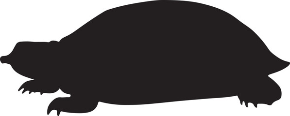 Florida Softshell Turtle Vector Silhouette