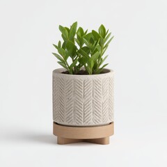 Modern Minimalist Plant Pot with Green Foliage Showcasing Simple Design and Natural Aesthetic for Stylish Home Decor and Interior Design Inspiration