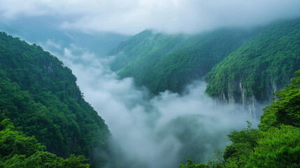 fog in the mountains
