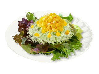 レタスサラダ皿PIXTA