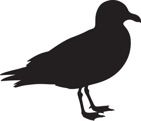 Obraz premium Lava Gull Vector Silhouette