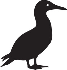 Masked Booby Vector Silhouette