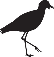 Masked Lapwing Vector Silhouette