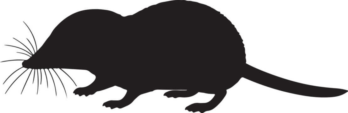 Nimba Otter Shrew Vector Silhouette