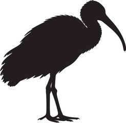 Nipponia (Crested Ibis) Vector Silhouette