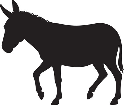 Onager Wild Donkey Vector Silhouette