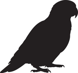Orange-bellied Parrot Vector Silhouette