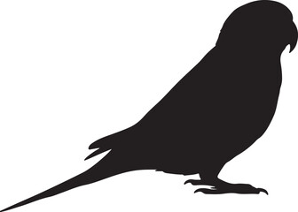 Parakeet Vector Silhouette