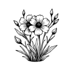 Detailed monochrome floral illustration of blossoming flowers with closed buds