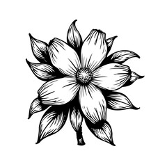 Monochrome Floral Illustration: Detailed Flower Drawing in Black and White