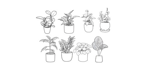 beautiful plant line art set in pots-houseplant icon set, garden plant illustrations.