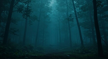 Naklejka premium Misty forest path (3)