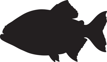 Red-bellied Piranha Vector Silhouette