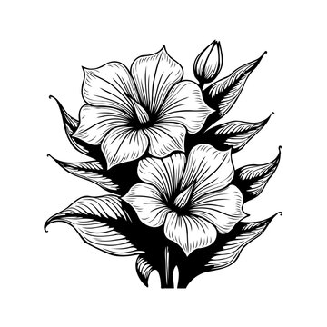 Elegant floral illustration, detailed petals and leaves botanical composition