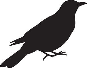 Thrush Vector Silhouette