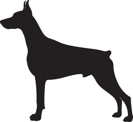 silhouette of a dog