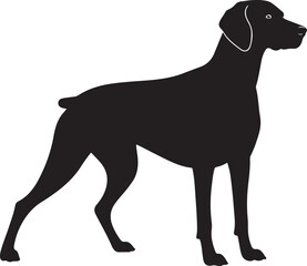 Weimaraner Vector Silhouette