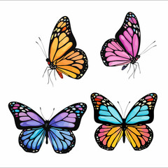Collection of Four Butterfly Illustrations. Vector Image