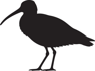 Whimbrel Vector Silhouette