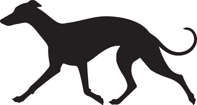 Whippet Vector Silhouette