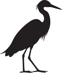 White-Faced Heron Vector Silhouette