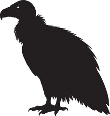 White-Rumped Vulture Vector Silhouette