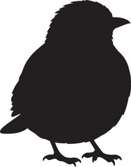 Xantus's Murrelet Vector Silhouette