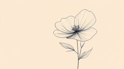 Delicate line art flower on beige background. Possible use greeting card, wallpaper