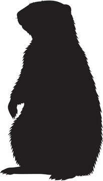 Yellow Bellied Marmot Vector Silhouette