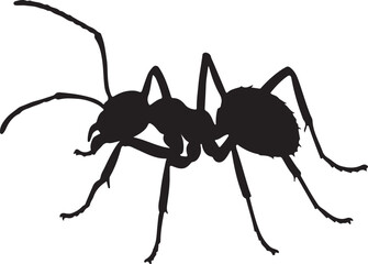 Yellow Crazy Ant Vector Silhouette