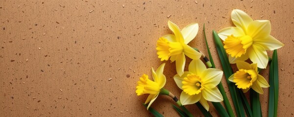 Fototapeta premium Bright yellow daffodils on a textured background create a vibrant floral arrangement.