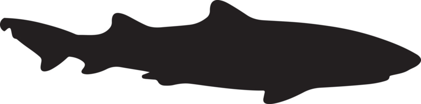 Zebra Shark Vector Silhouette