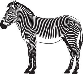 Zebra Vector Silhouette