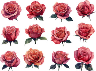 seamless pattern with roses