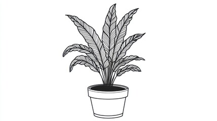 Line art drawing of a houseplant in a pot, indoor, still life