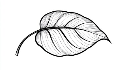 Ornate Tropical Leaf Illustration