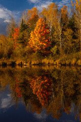 Fall Colors in Wisconsin